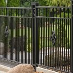 Zielony parkan – jakie rośliny posadzić przy ogrodzeniu?