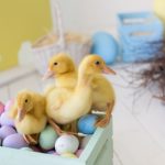 Wielkanoc w nowoczesnym stylu, czyli jak przygotować nieco lżejsze święta bez wy