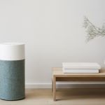 Wnętrzarski trend w 2021? Czyste powietrze